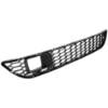Picture of Bumper Grille