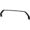 Picture of Grille Trim