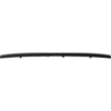 Picture of Bumper Trim