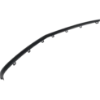 Picture of Bumper Trim