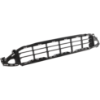 Picture of Bumper Grille