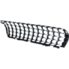 Picture of Grille Assembly