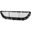 Picture of Bumper Grille