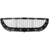 Picture of Bumper Grille
