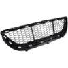 Picture of Bumper Grille