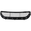 Picture of Bumper Grille
