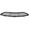 Picture of Bumper Grille