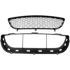 Picture of Bumper Grille