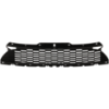 Picture of Grille Assembly