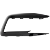 Picture of Fog Light Trim