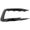 Picture of Fog Light Trim
