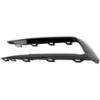 Picture of Fog Light Trim
