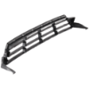 Picture of Bumper Grille