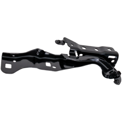 Picture of Hood Hinge