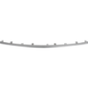 Picture of Grille Trim