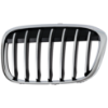 Picture of Grille Assembly