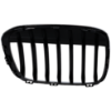 Picture of Grille Assembly