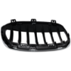 Picture of Grille Assembly