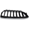 Picture of Grille Assembly