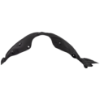 Picture of Fender Liner