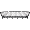 Picture of Bumper Grille