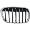 Picture of Grille Assembly