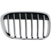 Picture of Grille Assembly