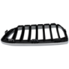 Picture of Grille Assembly