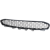 Picture of Bumper Grille