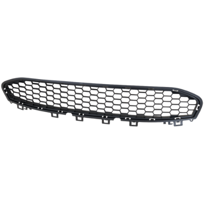 Picture of Bumper Grille