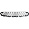 Picture of Bumper Grille