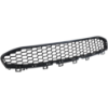 Picture of Bumper Grille