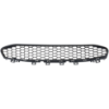 Picture of Bumper Grille