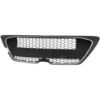 Picture of Bumper Grille