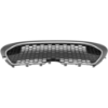 Picture of Bumper Grille