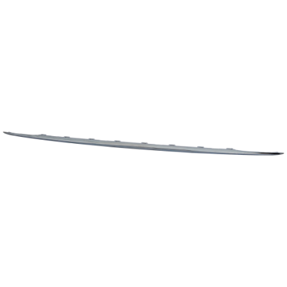 Picture of Bumper Trim
