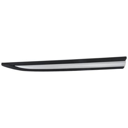 Picture of Door Molding and Beltlines