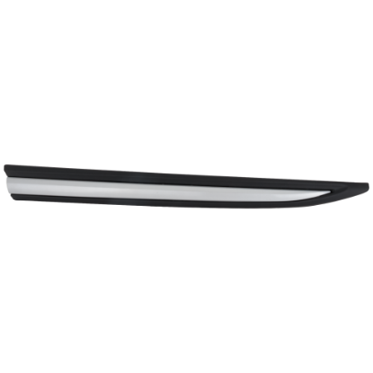 Picture of Door Molding and Beltlines