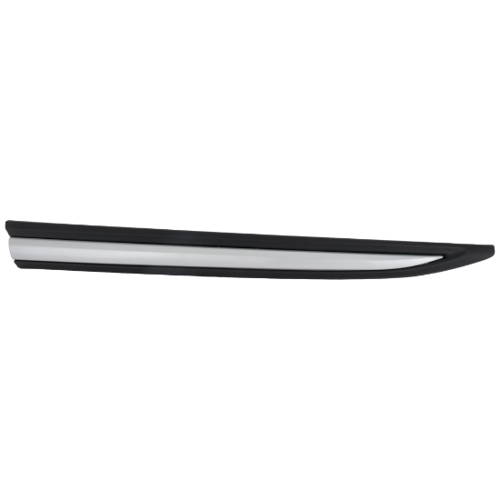 Picture of Door Molding and Beltlines