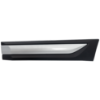 Picture of Door Molding and Beltlines