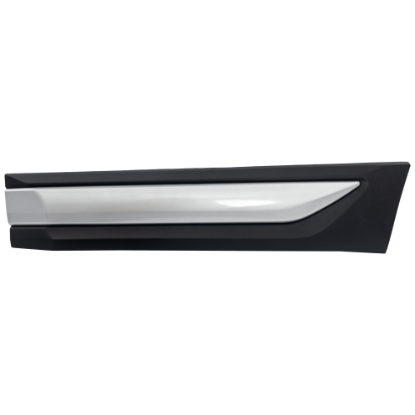 Picture of Door Molding and Beltlines