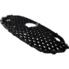 Picture of Grille Assembly