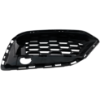 Picture of Bumper Grille