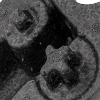 Picture of Bumper Absorber