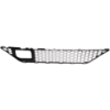 Picture of Bumper Grille