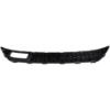 Picture of Bumper Grille