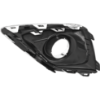 Picture of Fog Light Cover