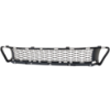 Picture of Bumper Grille