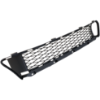 Picture of Bumper Grille