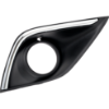 Picture of Fog Light Trim